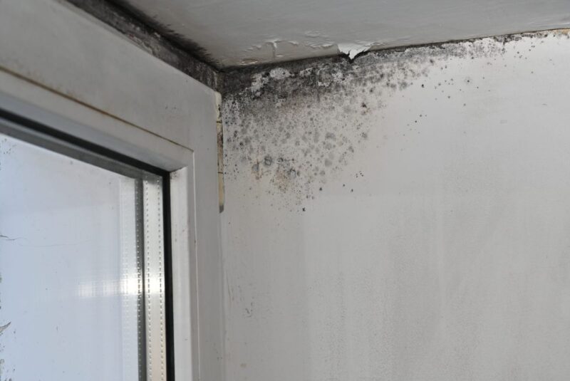 Degrado degli edifici: infiltrazioni d’acqua, cause, danni e soluzioni per la sicurezza strutturale