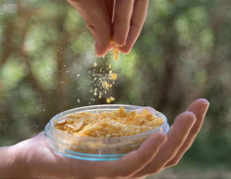 Una natura ricca di risorse: superfici decorative sostenibili ottenute da co-prodotti agroforestali