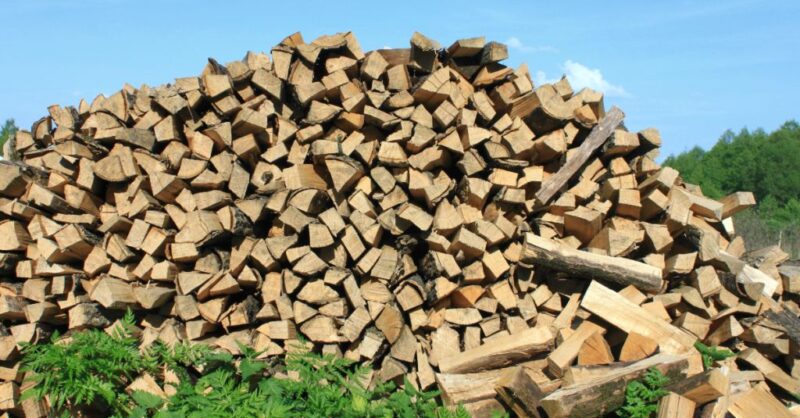 Stufa a legna o a pellet: è il momento giusto. Cosa occorre sapere