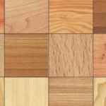 Specie legnose usate in edilizia. Guida alla scelta del legname da costruzione