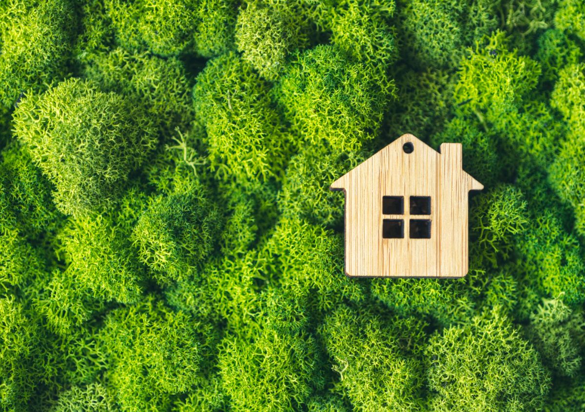 Isolamento termico tetto in legno