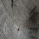 Acimall: trend positivo per le tecnologie della lavorazione del legno