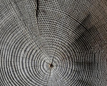 Acimall: trend positivo per le tecnologie della lavorazione del legno