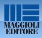 maggioli LA RESPONSABILITA’ DEL PROFESSIONISTA TECNICO