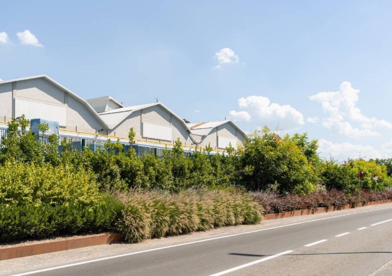 immagine Parco Lineare Marazzi: a Sassuolo il confine del sito industriale diventa paesaggio