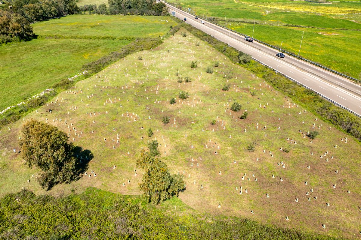 programma Mosaico Verde