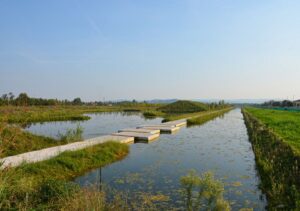 Il Parco della Pace di Vicenza, unico progetto italiano finalista dell'European Prize Urban Public Space 2026