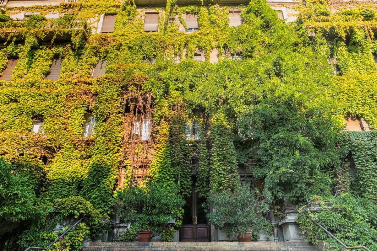 Sostenibilità e risparmio energetico: le pareti verdi Sostenibilità e risparmio energetico: le pareti verdi