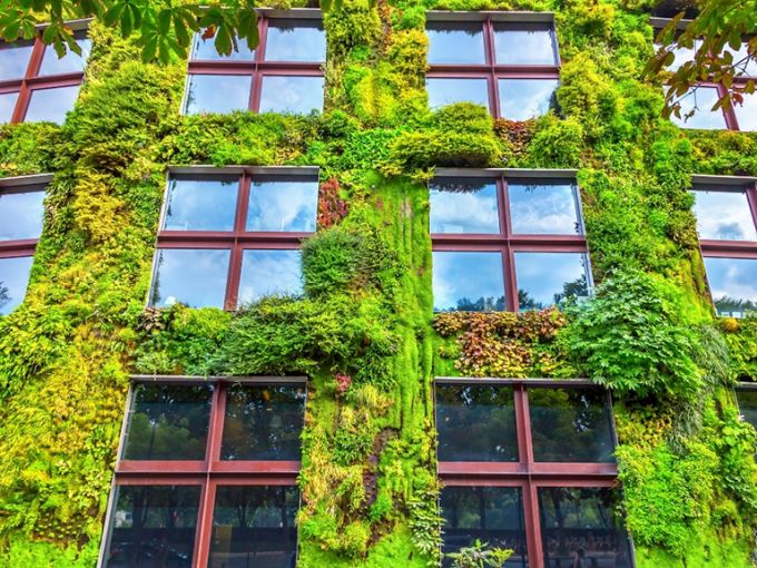 Sostenibilità e risparmio energetico: le pareti verdi
