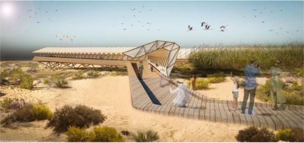 “Birdwalk” 2 posto per il progetto del punto di osservazione per i fenicotteri ad Abu Dhabi 