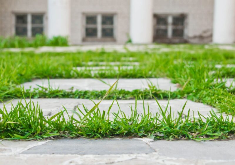 Pavimentazione per giardino: come scegliere quella adatta