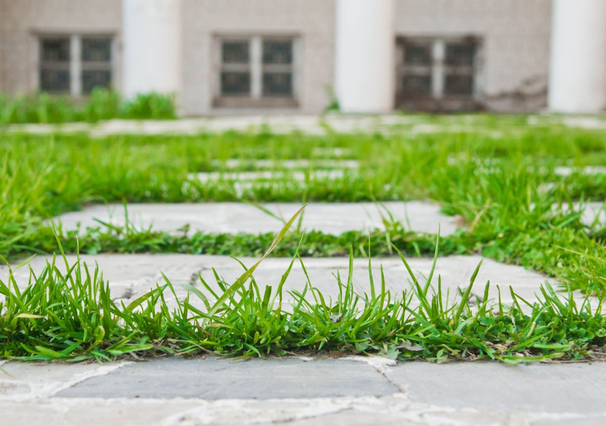 Pavimentazione per giardino: come scegliere quella adatta