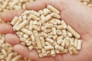 Biomasse per l’energia del futuro