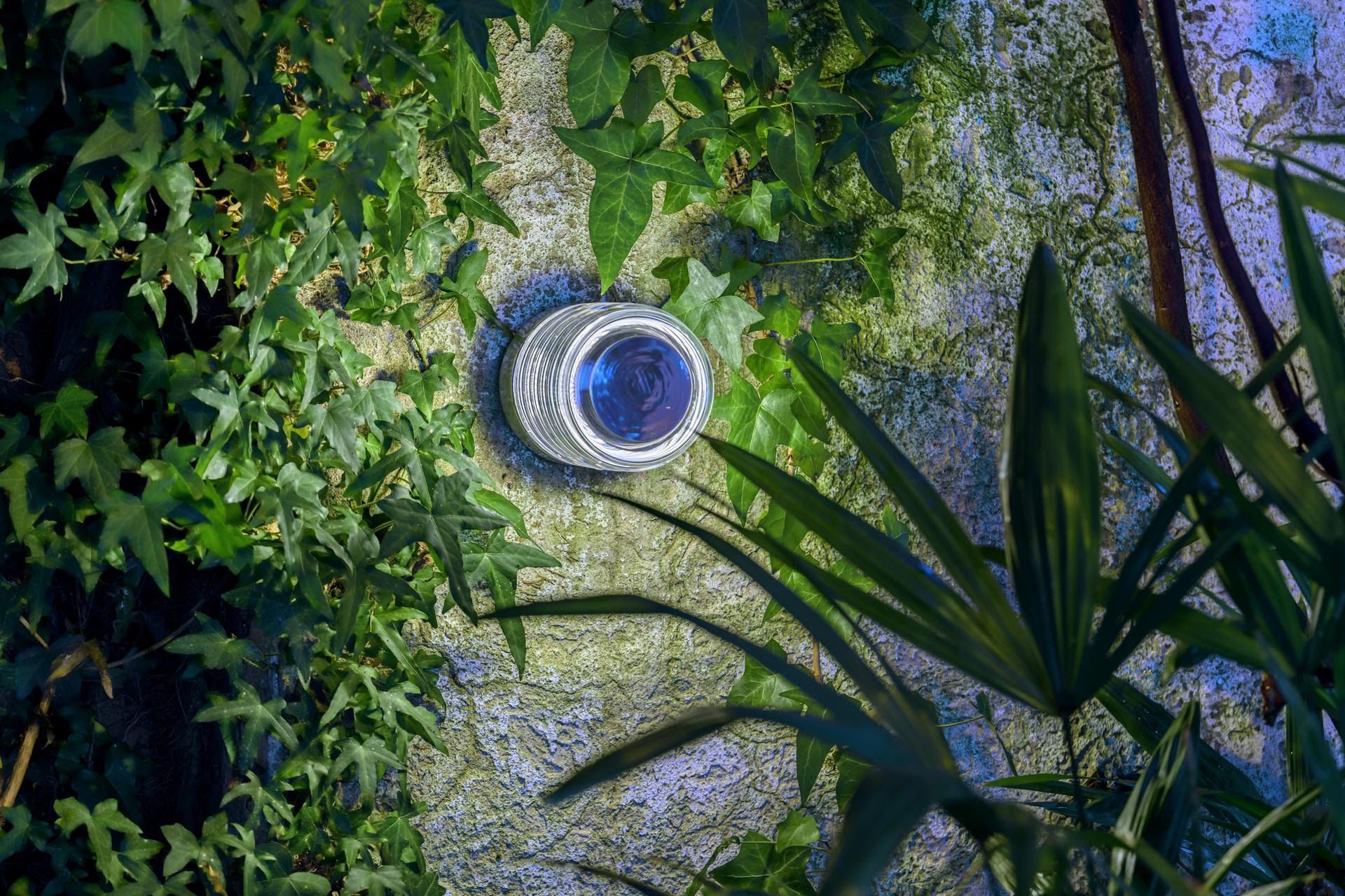 Lights ofnature: Platek porta l'illuminazione alla Milano Design Week