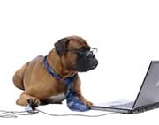 Hai un’Azienda e Cerchi Nuovi Clienti?