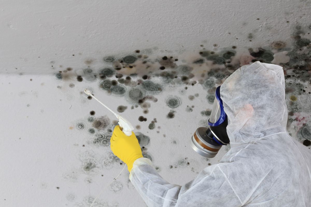 Quali sono i metodi più efficaci per eliminare la muffa dalle pareti?