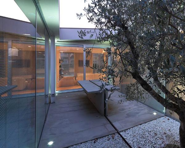 Casa patio, un'architettura trasparente