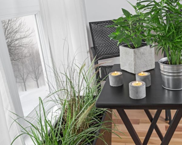 Soluzioni antibatteriche per rendere la tua casa sicura e protetta