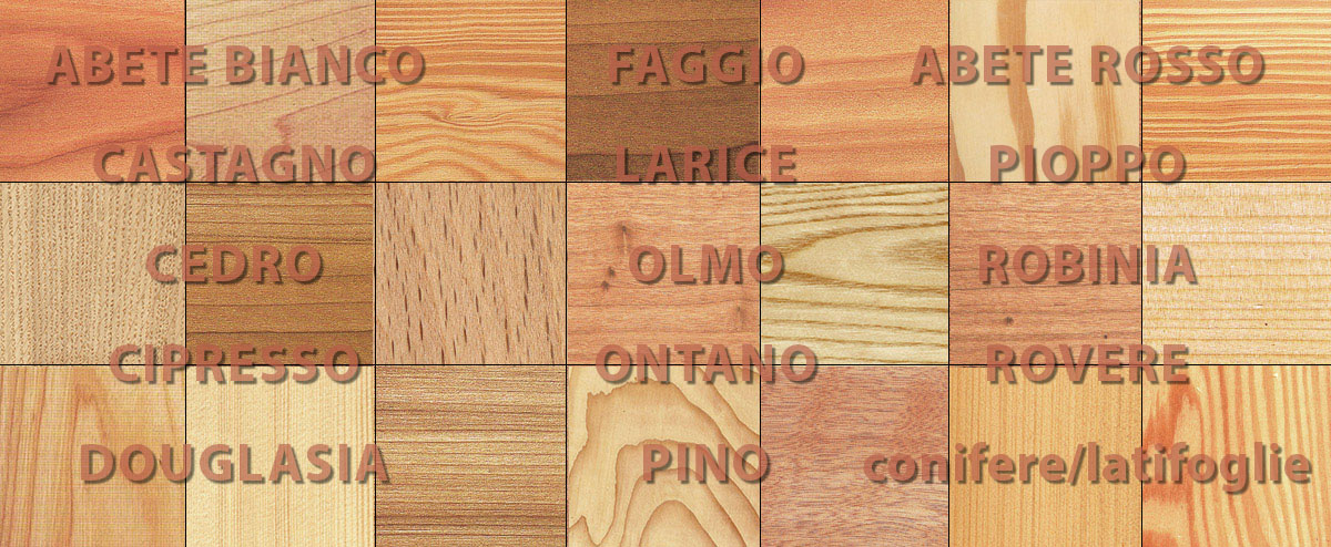 Specie legnose usate in edilizia. Guida alla scelta del legname da costruzione adatto