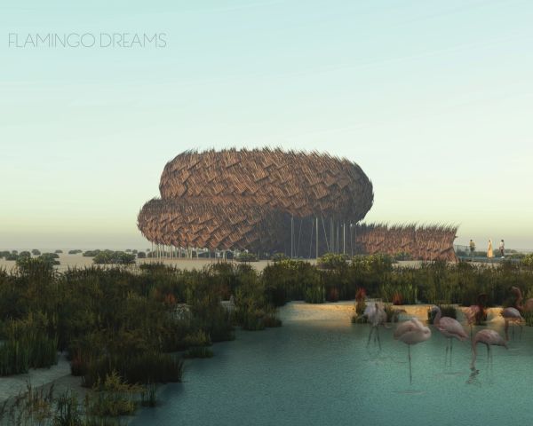 Abu Dhabi: i progetti vincitori del punto di osservazione per i fenicotteri