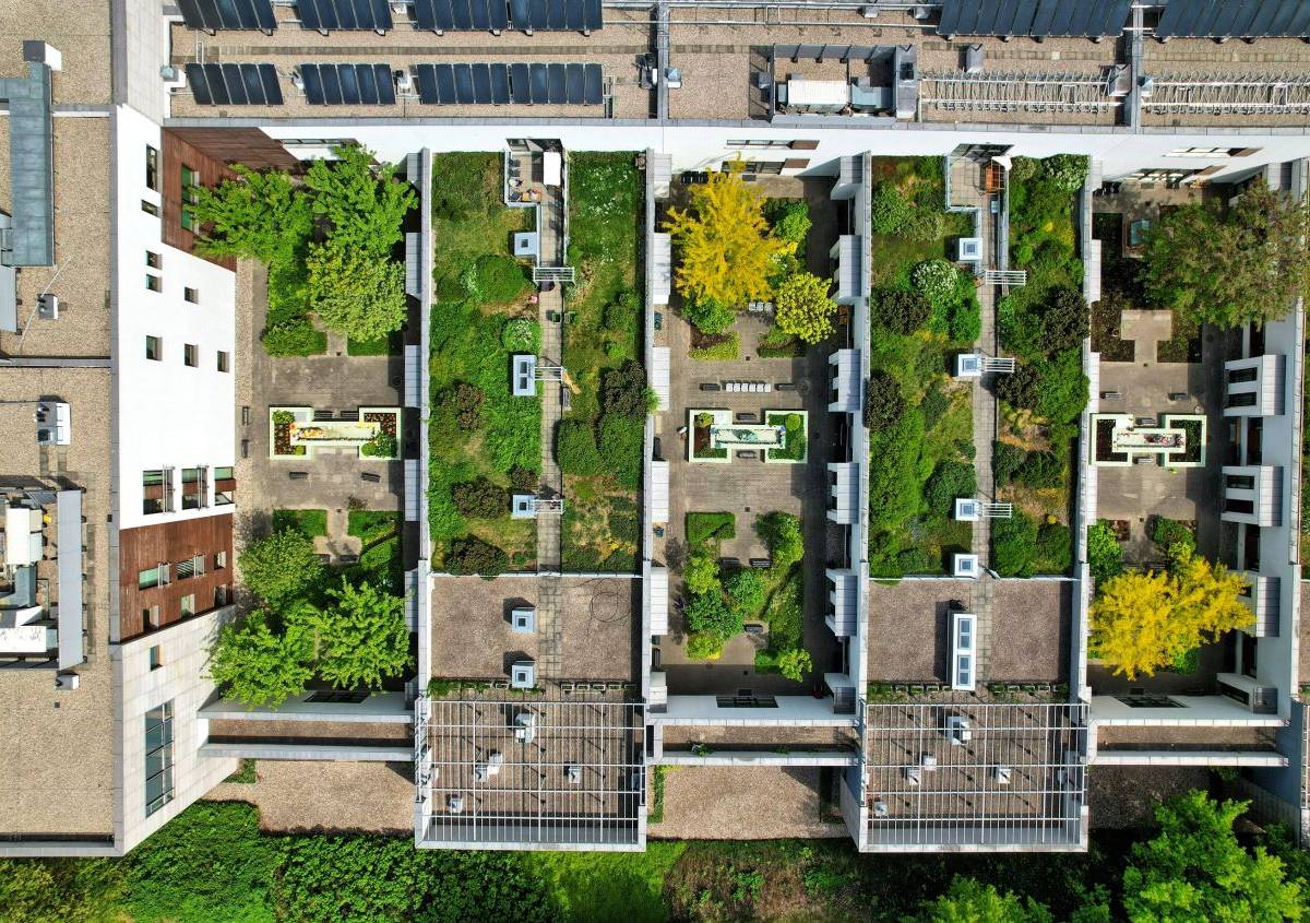 Tetti verdi, come realizzarne uno e quali regole seguire