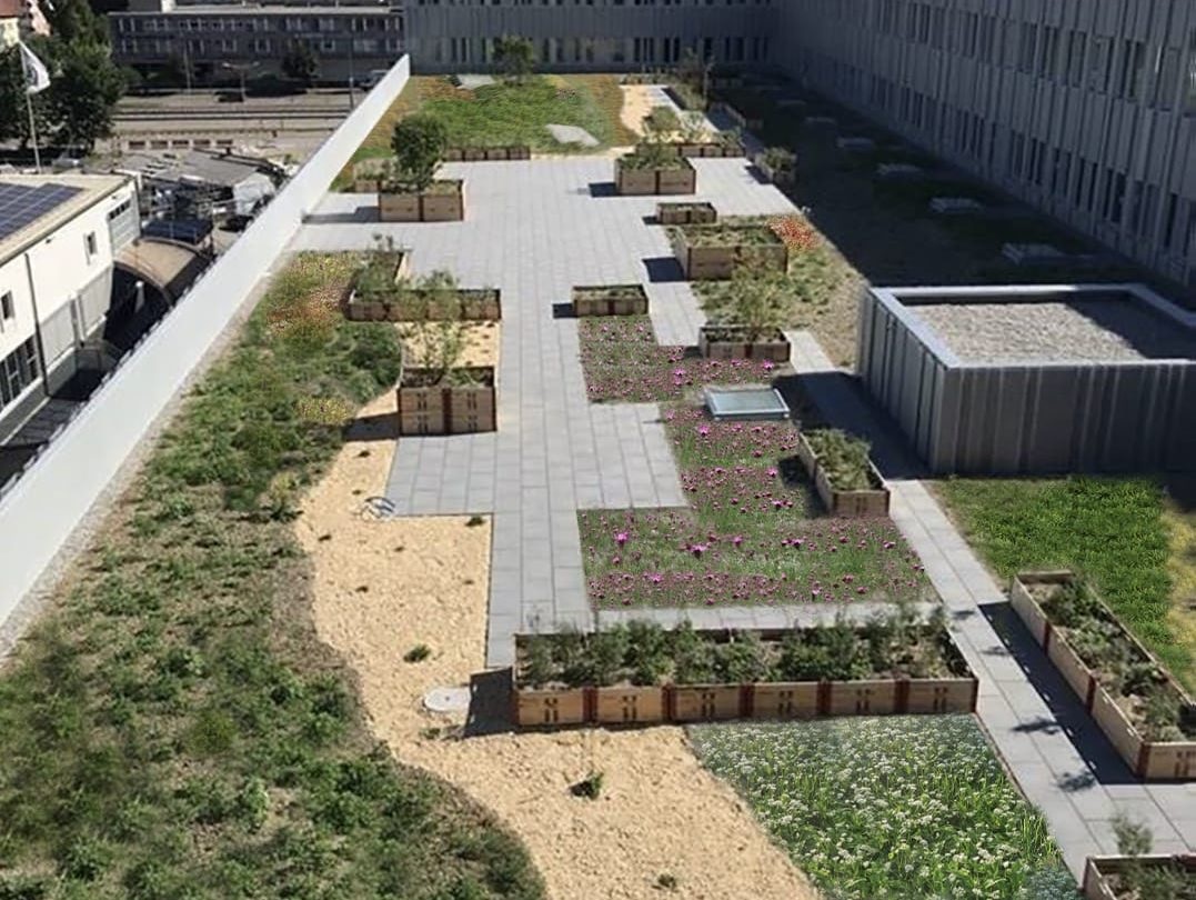 VIRIdiVITA: tetti e giardini verdi per ridurre il cambiamento climatico