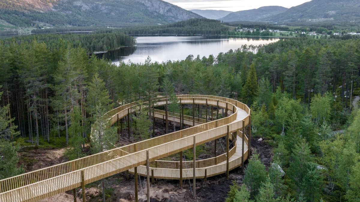 Treetop Walkway – Hamaren Activity Park (Norvegia) Treetop Walkway – Hamaren Activity Park (Norvegia)