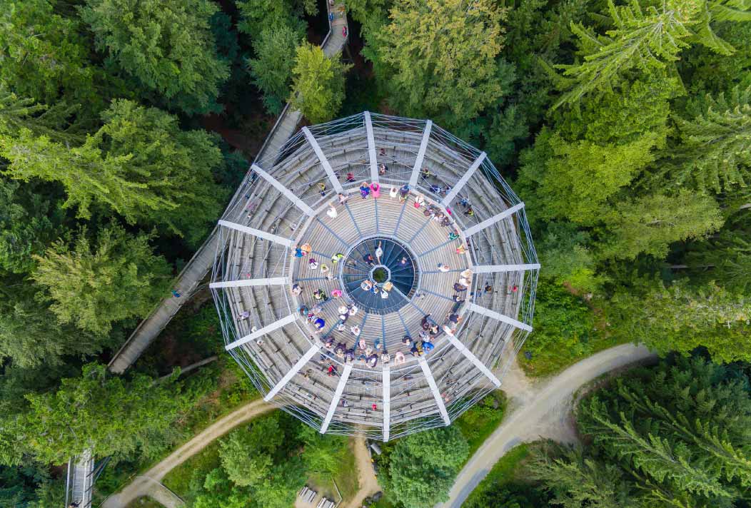 Treetop Walkway Bavarian Forest Treetop Walkway Bavarian Forest