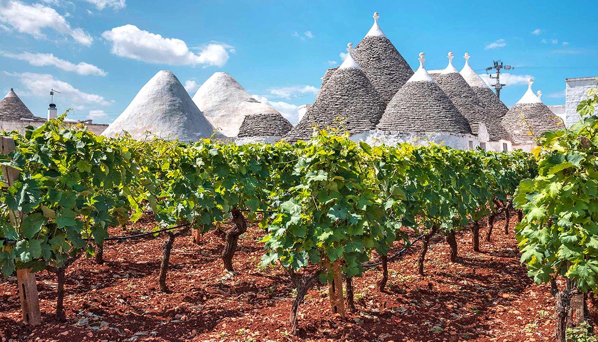 I trulli nella campagna della valle d'Itria I trulli nella campagna della valle d'Itria