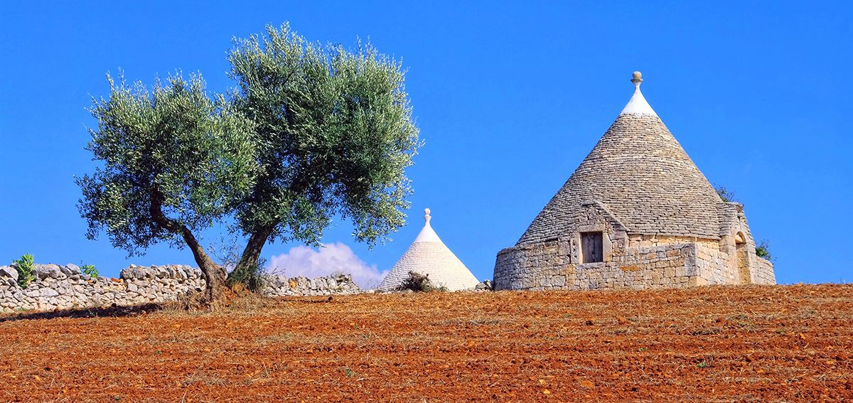 I trulli nella campagna della valle d'Itria (o Murgia dei Trulli) I trulli nella campagna della valle d'Itria (o Murgia dei Trulli)