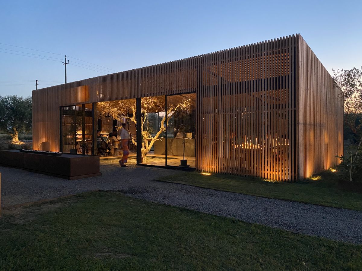 L'ulivo che caratterizza Podere Arduino