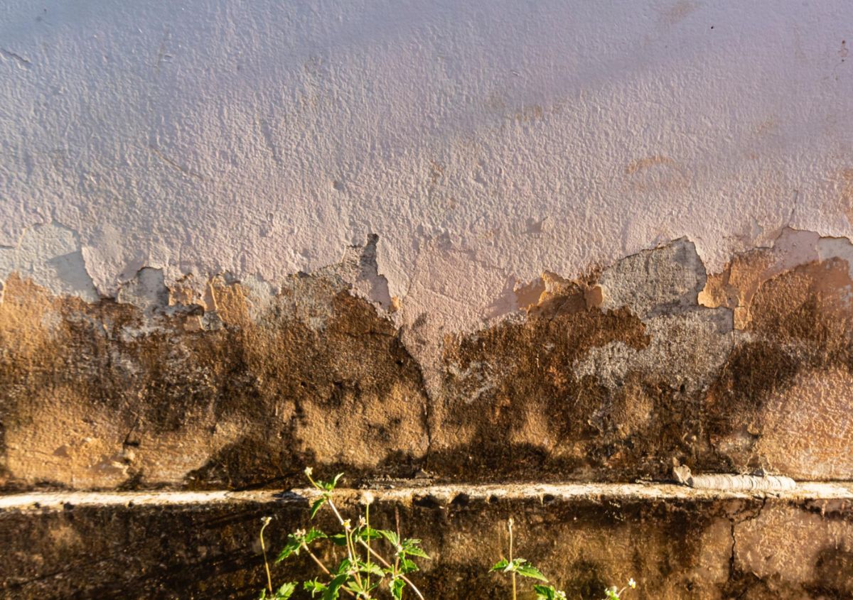 Che cos’è l’umidità di risalita nei muri