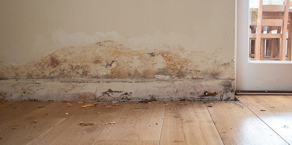 Effetti dell'umidità di risalita sul muro umidità-risalita-capillare