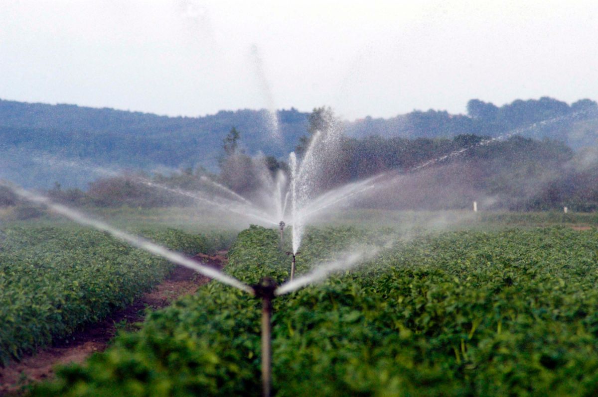Utilizzo dell'acqua in agricoltura