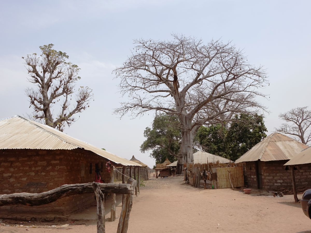 Immagine di contesto dell’area rurale del Senegal meridionale Immagine di contesto dell’area rurale del Senegal meridionale